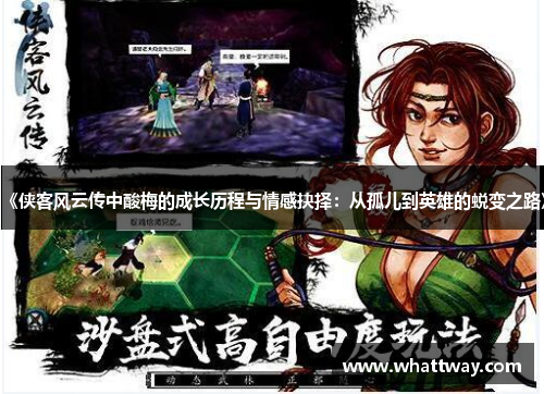 《侠客风云传中酸梅的成长历程与情感抉择：从孤儿到英雄的蜕变之路》
